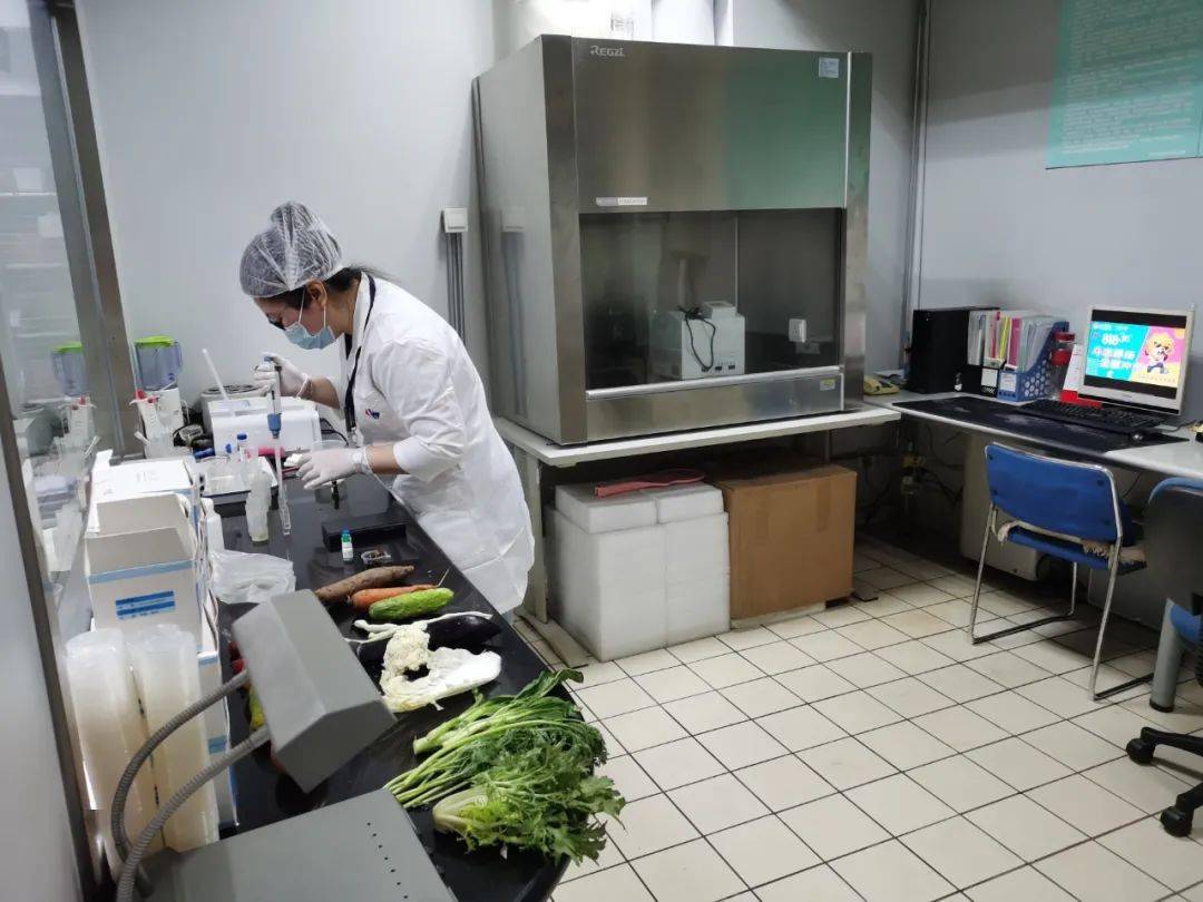 兴山食品检测实验室装修方案